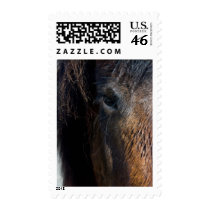 Portrait of an Horse postage