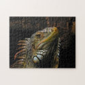 Portrait of an Iguana Puzzle