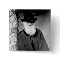 Portrait of Charles Darwin  1881 Pinback Buttons