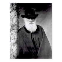 Portrait of Charles Darwin  1881 postcards