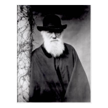 Portrait of Charles Darwin  1881 Post Cards