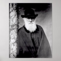 Portrait of Charles Darwin  1881 Posters