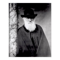 Portrait of Charles Darwin 1881 Posters