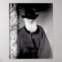 Portrait of Charles Darwin  1881 Posters