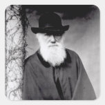 Portrait of Charles Darwin  1881 Sticker