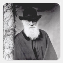 Portrait of Charles Darwin  1881 Sticker