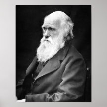 Portrait of Charles Darwin Poster