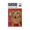 Portrait of Dachshund in red postage by TRBrown Portrait of Dachshund in red postage
