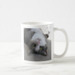 Portrait of Gabe by Rozcards mugs