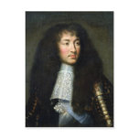 charles, brun, 17th, french, sun, king, male, wig,