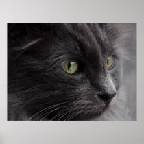 Portrait of Micha posters
