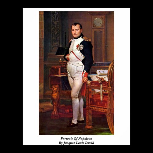 Portrait Of Napoleon By Jacques-Louis David Poster