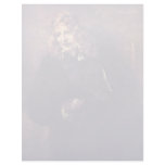 Portrait Of Nicholas Bruyningh By Rembrandt letterhead