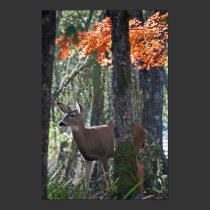 "Portrait of Peace" posters