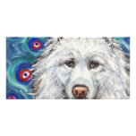 Portrait of Samoyed Photo Card