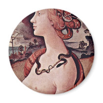 Portrait Of Simonetta Vespucci By Piero Di Cosimo magnets