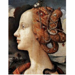 Portrait Of Simonetta Vespucci By Piero Di Cosimo Photo Cut Out