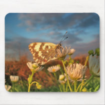Portrait of the Butterfly mousepads by patrickrp Portrait of the Butterfly mousepads