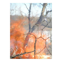 Portrait of the Fire Elementals at Play posters by MrGlowworm Portrait of the Fire Elementals at Play posters