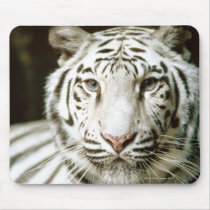 Portrait of tiger mousepads