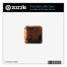 Portrait of Vaters by Rembrandt iPod Nano 6G Decals