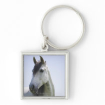 portrait of white horse key chains