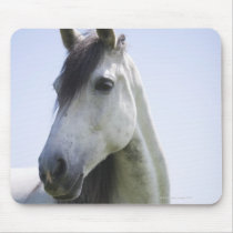 portrait of white horse mousepads