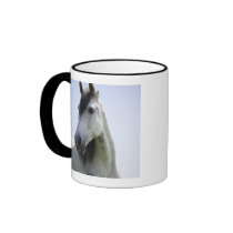 portrait of white horse coffee mug