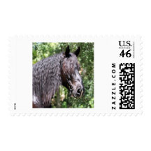 Portrait Postage Stamps