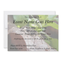 Portrait - Young Spider Personalized Invitation