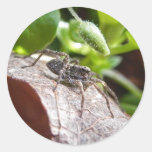 Portrait - Young Spider Stickers