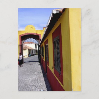 (Portugal) Colors of Funchal Postcard postcard