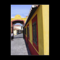 (Portugal) Colors of Funchal Postcard postcards