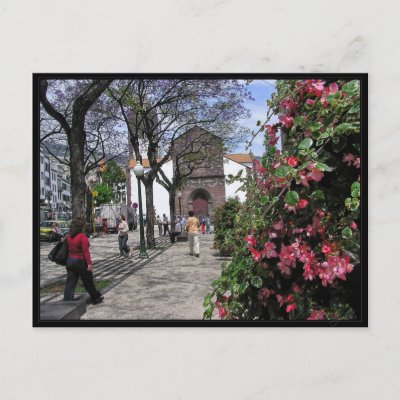 (Portugal) Funchal, Madeira Postcard postcard