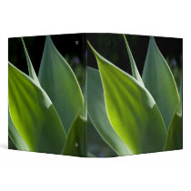 Portugal, Madeira Island, Funchal. Botanical Binders