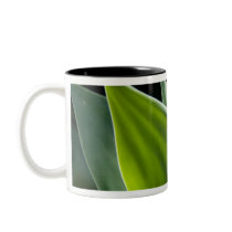 Portugal, Madeira Island, Funchal. Botanical Mug