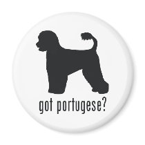 Portugese Water Dog Fridge Magnets
