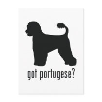 Portugese Water Dog Postcard