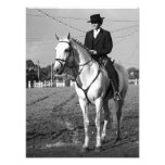 Portuguese horse rider photo