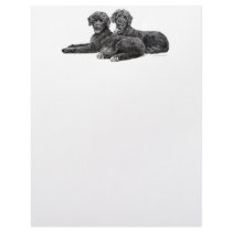 Portuguese Water Dogs Letterhead Template