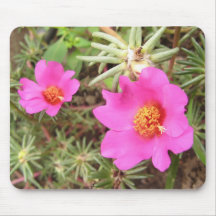Portulaca Flowers Mousepad