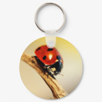 posey bug da, Bexa keychains by Jpegonia posey bug da, Bexa keychains