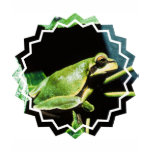 Posing Frog Girl's T-Shirt