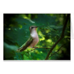 Posing Greeting Cards