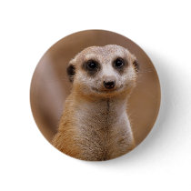 Posing Meerkat Buttons