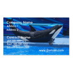 Posing Orca Business Cards