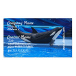 Posing Orca Business Cards