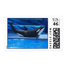 Posing Orca Postage Stamp