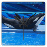 Posing Orca Wall Clock