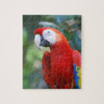 Posing Parrot Puzzle